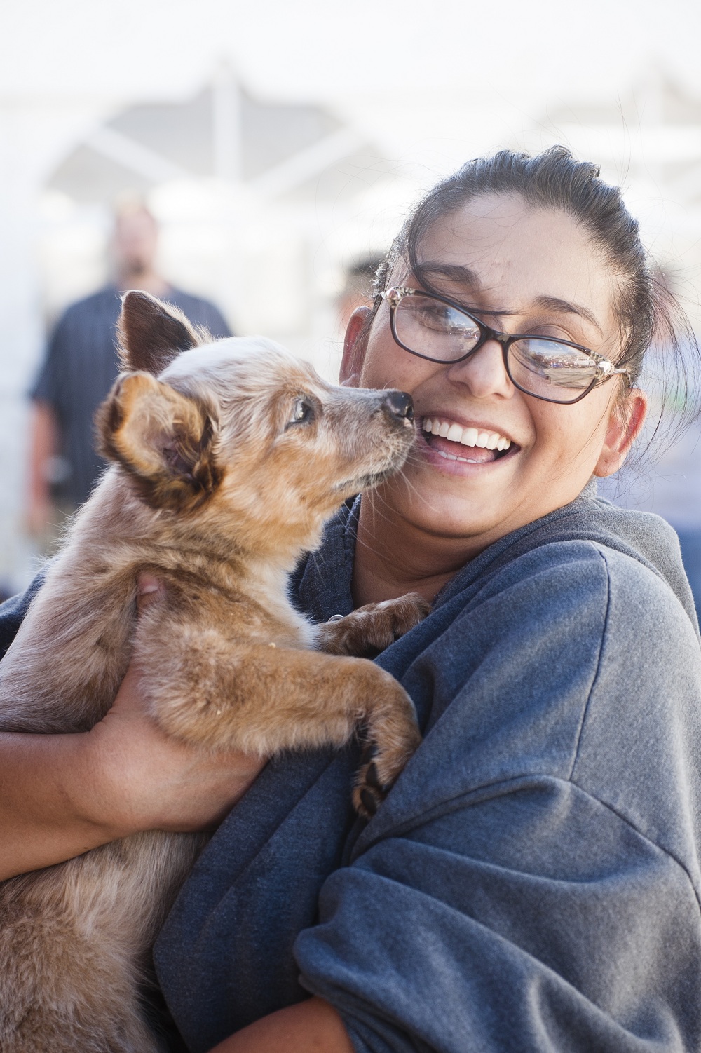 Puppy kissing woman