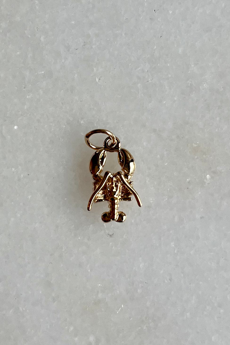 Tidy Street Store | Charms