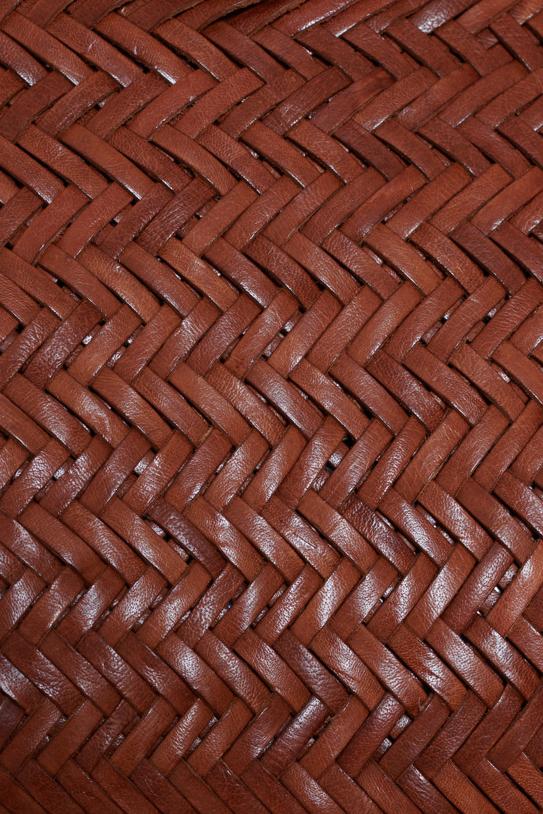 Dragon Diffusion | Nantucket Big - Tan