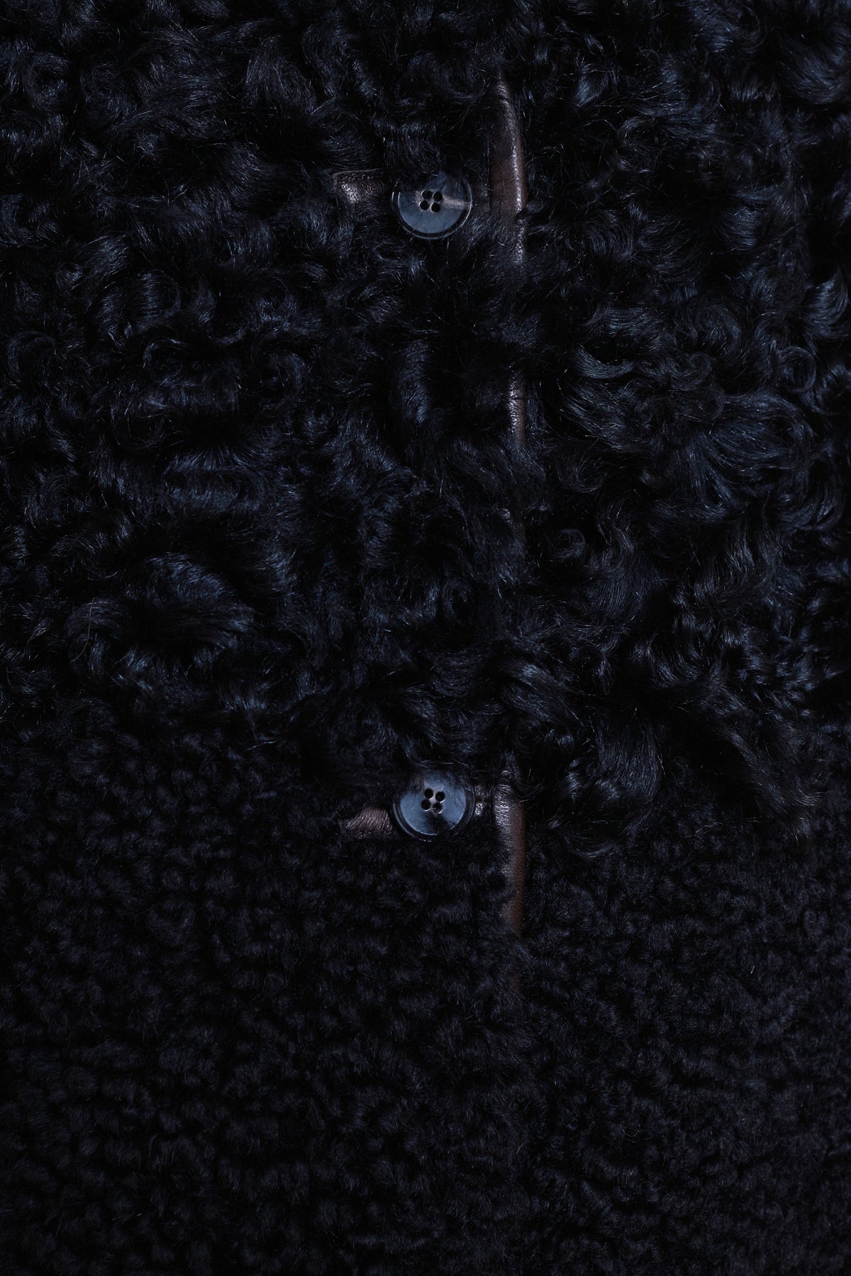 Milena Silvano | Allie Coat - Chaga