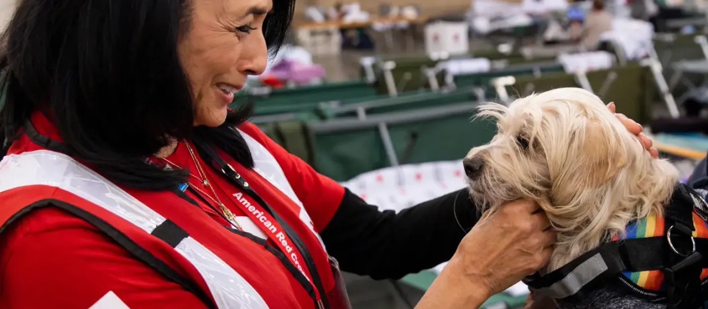 Red Cross volunteer greets a dog impacted by a natural disaster